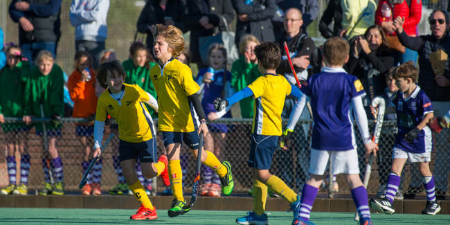 HOCKEY HIERBA INMACULADA