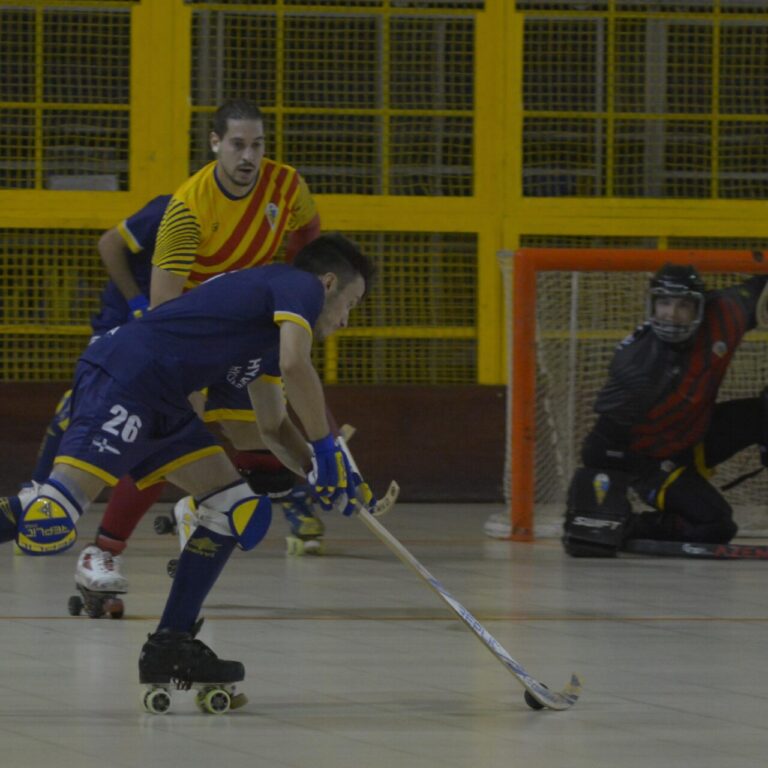 Jolaseta patines 4p_S