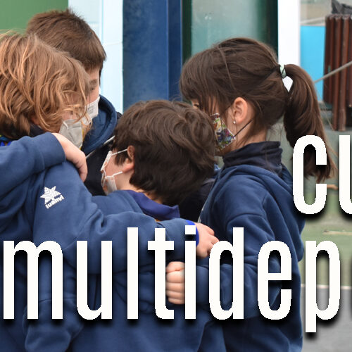 MULTIDEPORTE