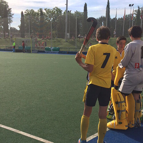 HOCKEY HIERBA SECTORES SALA