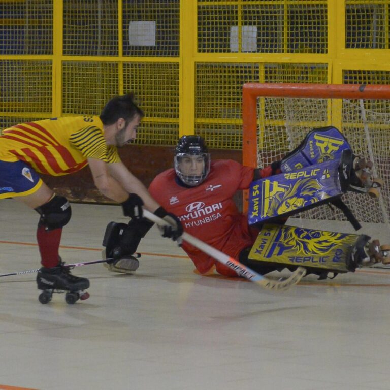 Jolaseta patines 17c_S