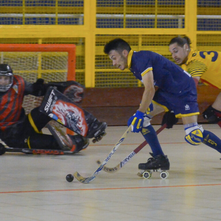 Jolaseta patines17p-S