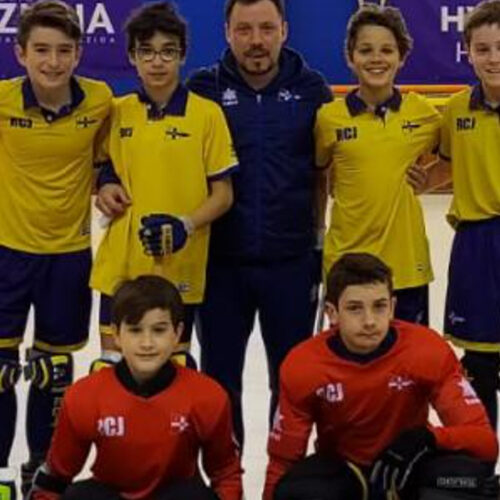 HOCKEY PATINES ALEVIN