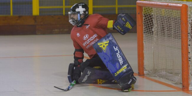 Jolaseta patines 22p_S