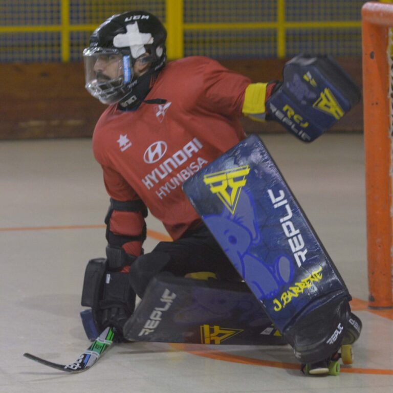 Jolaseta patines 22p_S