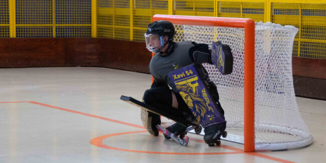 Jolaseta patines 3p_S