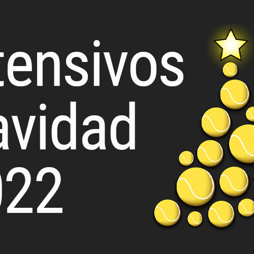 INTENSIVOS DE NAVIDAD
