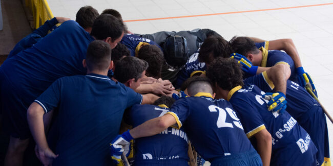 Jolaseta patines 10p_S