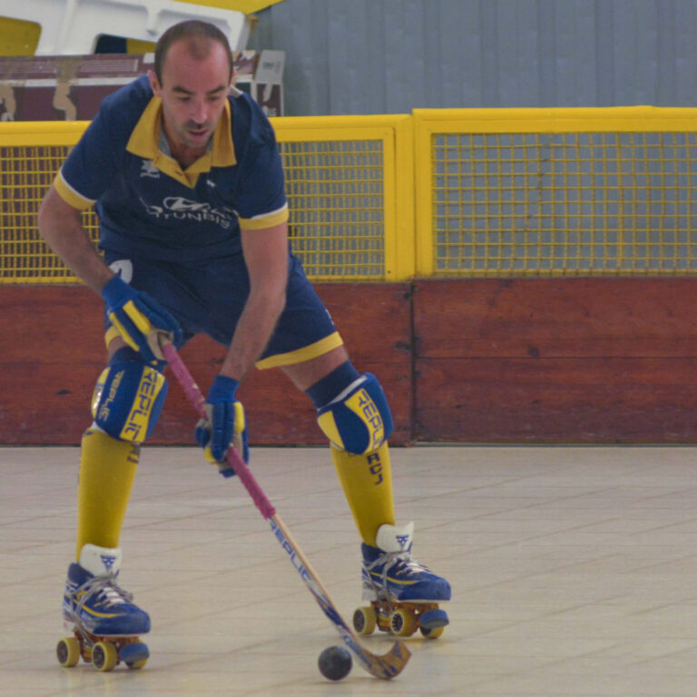 Jolaseta patines 12p_2