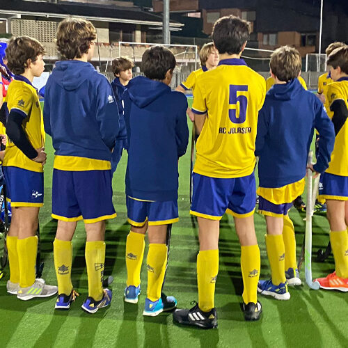 HOCKEY HIERBA SECTOR HIERBA