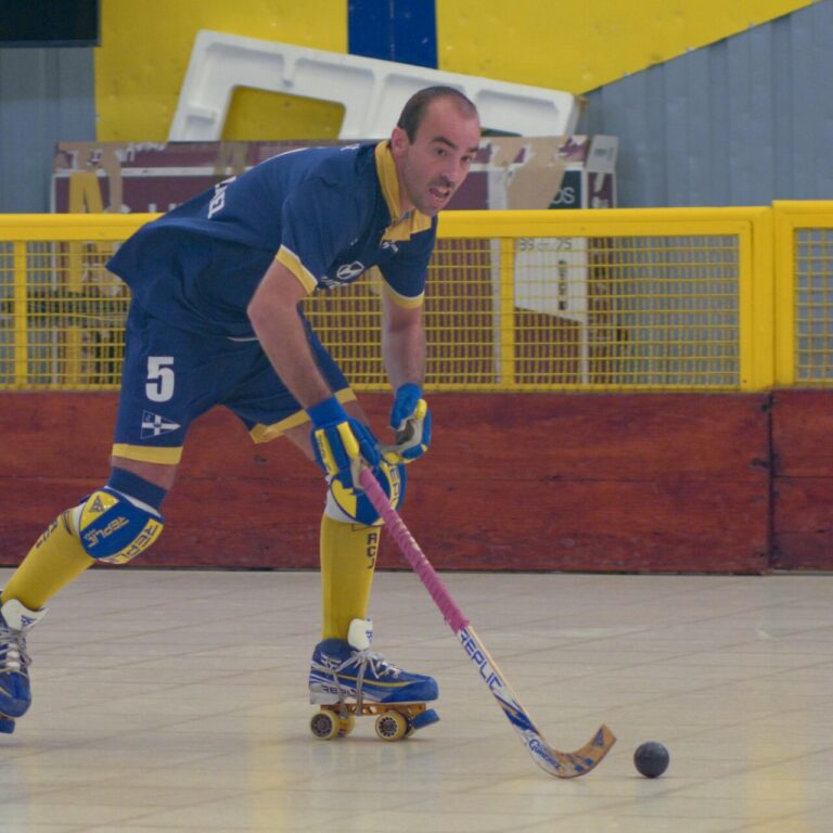 Jolaseta patines 4p_S