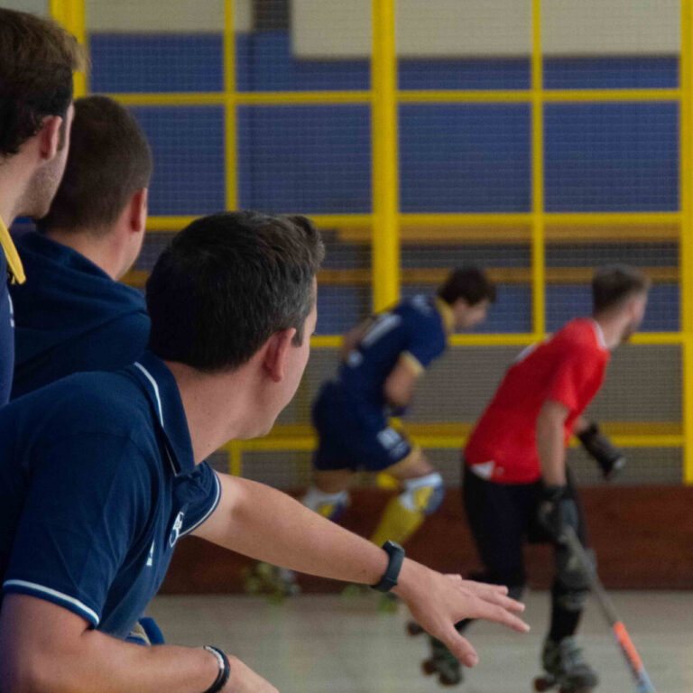 Jolseta patines 17p_