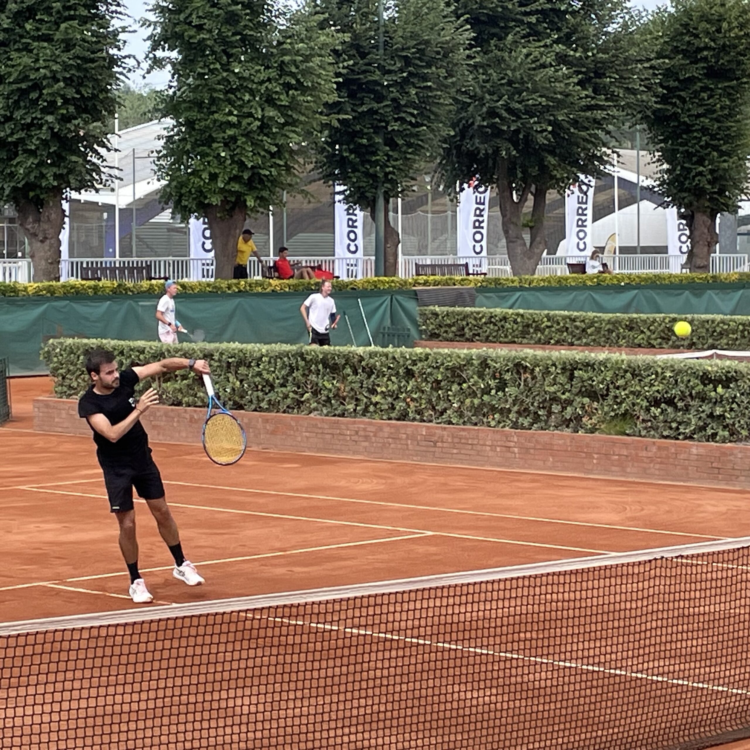 Mendieta web sábado