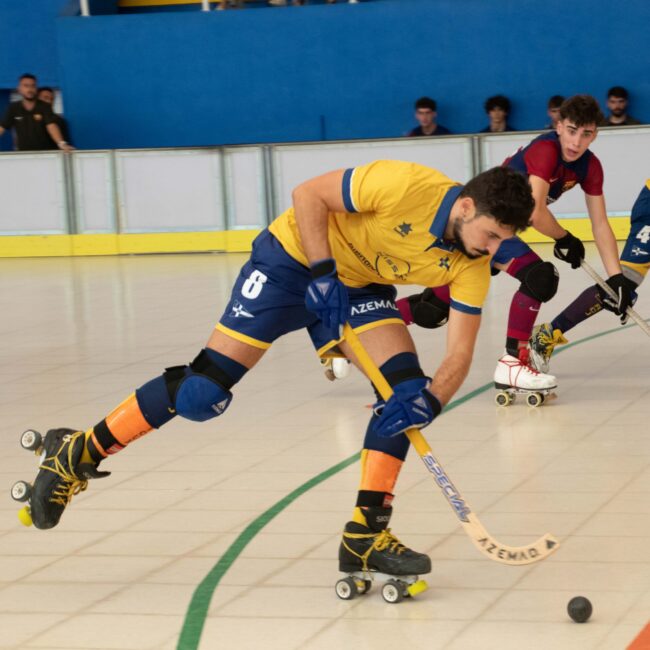 Jolaseta patines 6c (2)