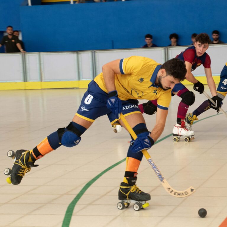 Jolaseta patines 6c (2)