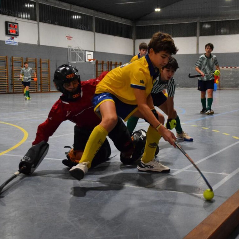 HOCKEY SECTORES SALA