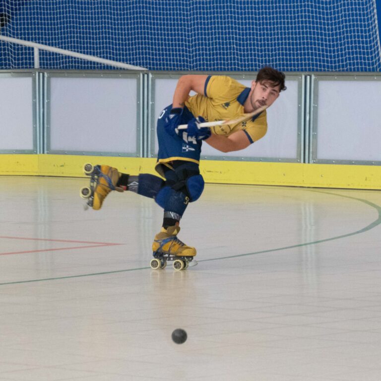 Jolaseta patines 10c (1)