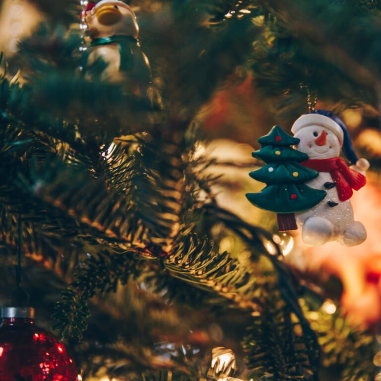 SOCIAL DÍA INICIO DE LA NAVIDAD