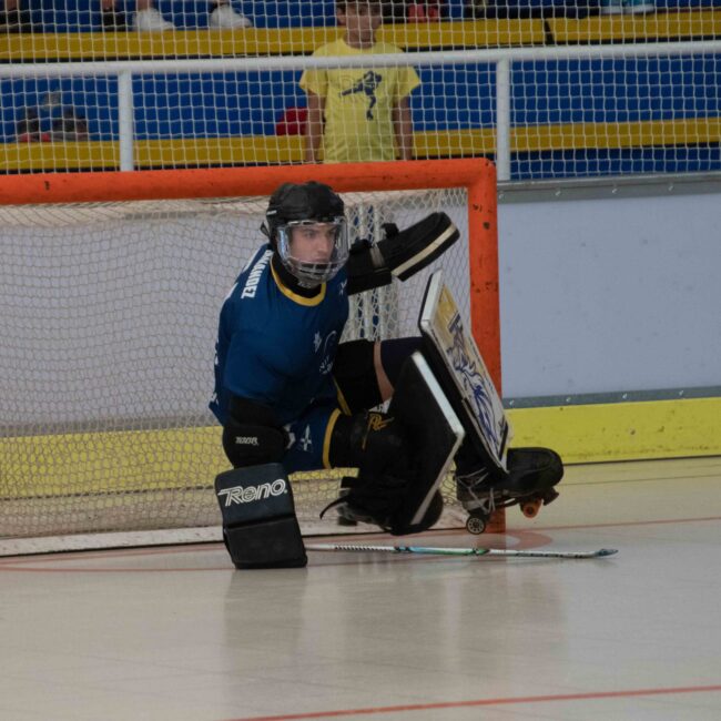 Jolaseta patines 12c (1)