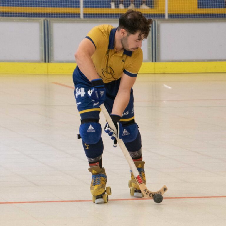 Jolaseta patines 12p (1)