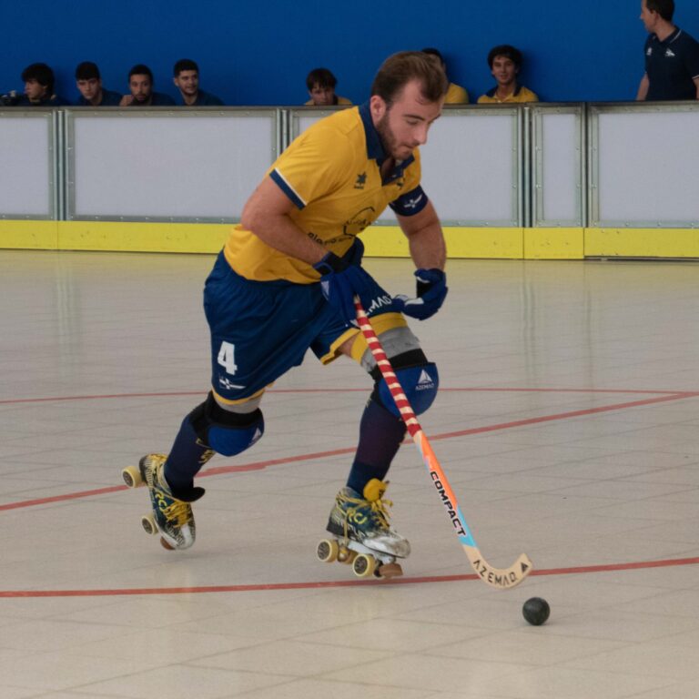 Jolaseta patines 17p (1)