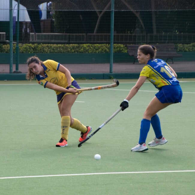 Jolaseta fem 14c (2)