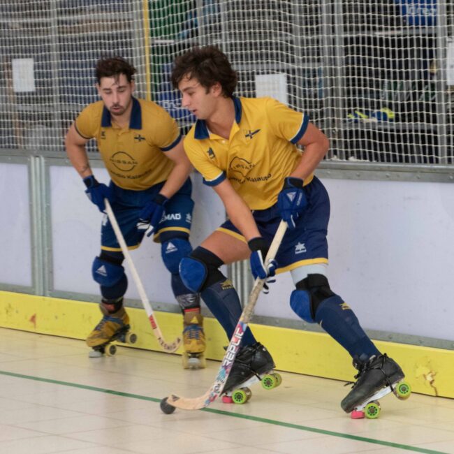 Jolaseta patines 19p (3)