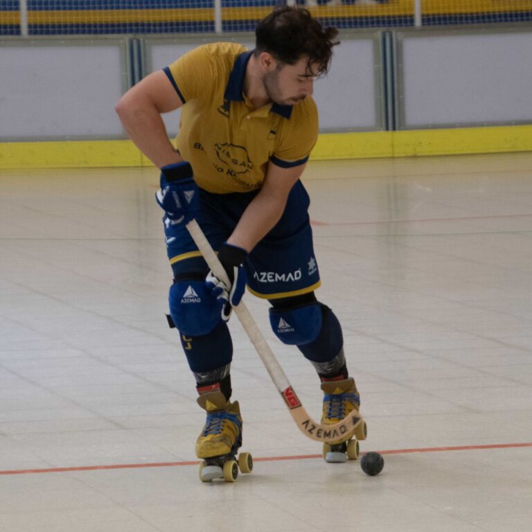 Jolaseta patines 23p