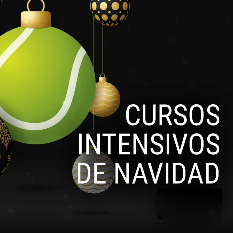 INTENSIVOS DE NAVIDAD
