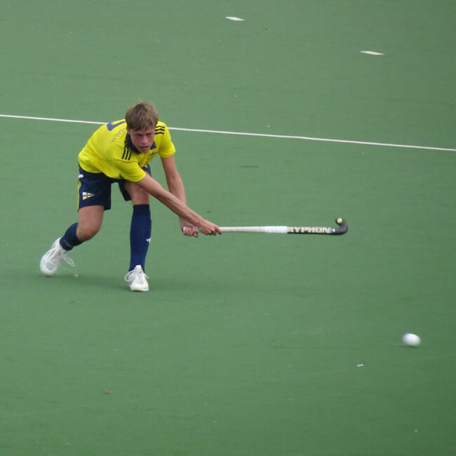 Jolaseta masc2425 (1)