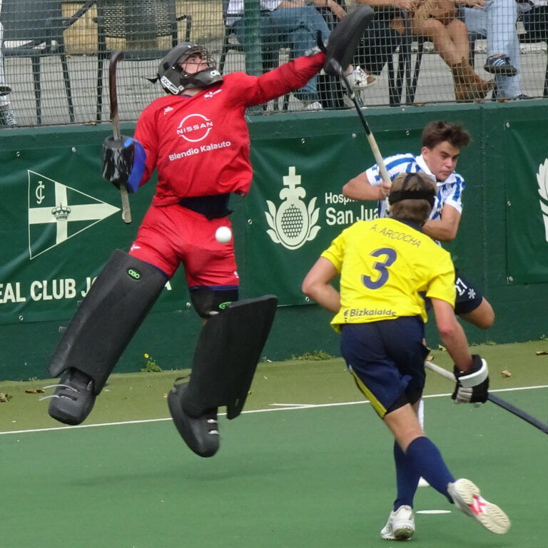 Jolaseta masc2425 (10)