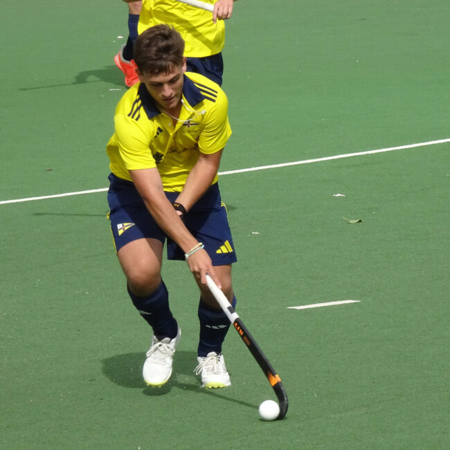 Jolaseta masc2425 (4)