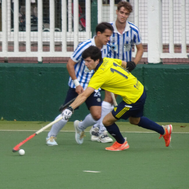 Jolaseta masc2425 (5)