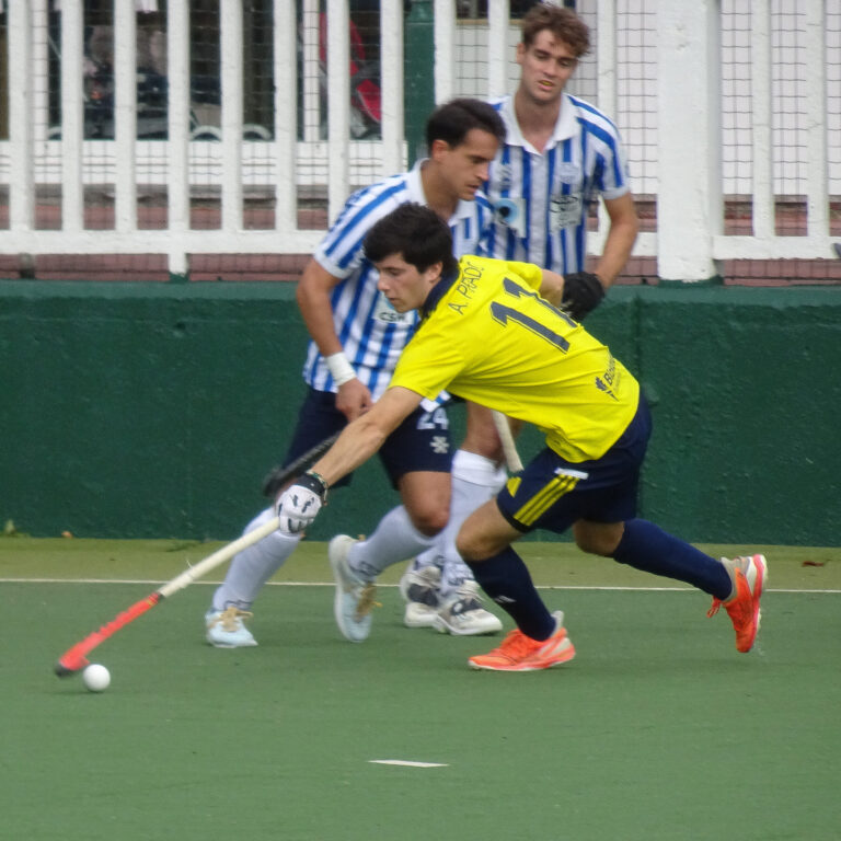 Jolaseta masc2425 (5)