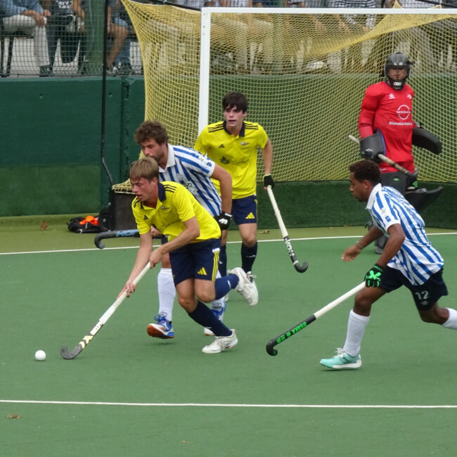 Jolaseta masc2425 (7)