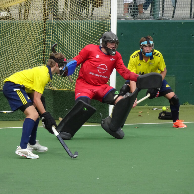 Jolaseta masc2425 (8)